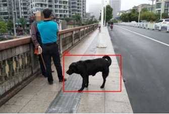 寵物牽繩檢測(cè)