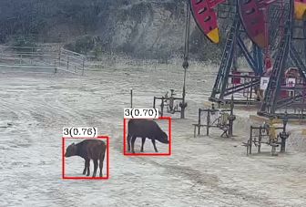 牲畜入侵檢測(cè)